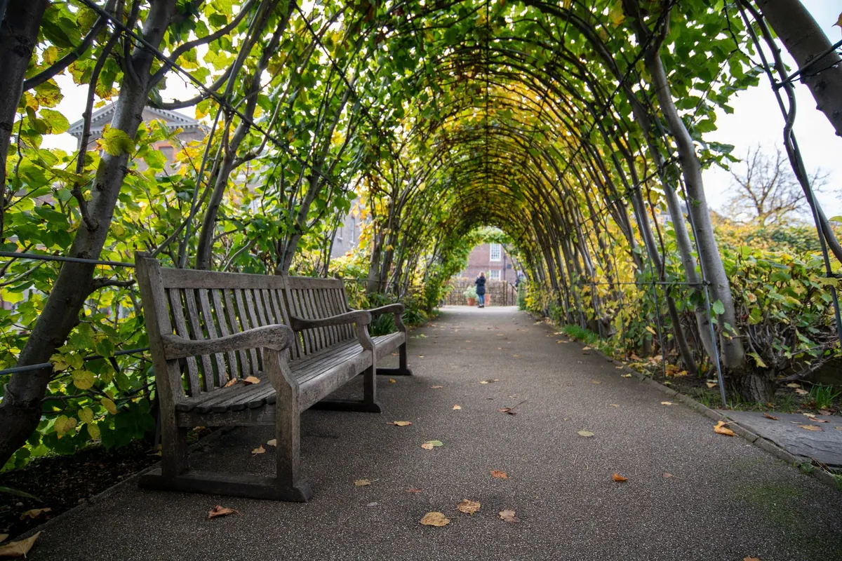 10 Common Mistakes to Avoid When Placing a Bench in Your Garden