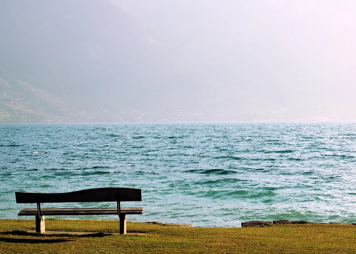 Beginner's Guide to Buying a Solid Wood Bench: What to Check Before You Buy